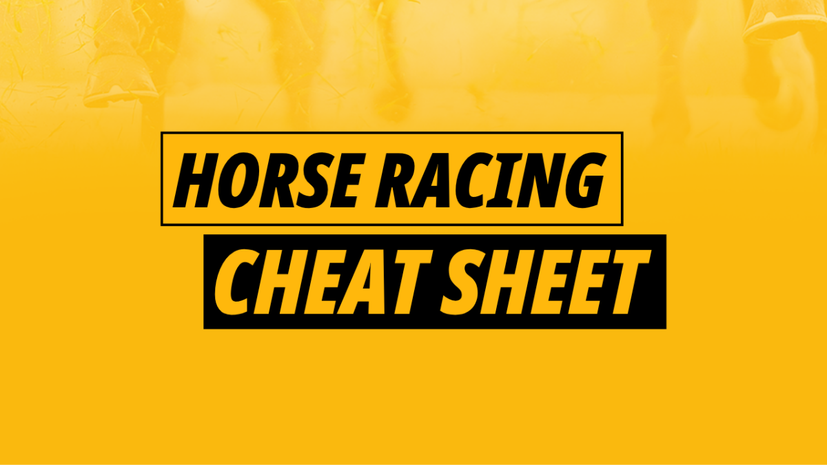 Image for Betfair Saturday racing tips cheat sheet